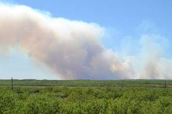 Wildfire smoke. Photo courtesy of PublicDomainPictures via pixabay.