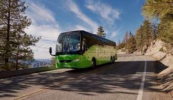 FlixBus (submitted photo)