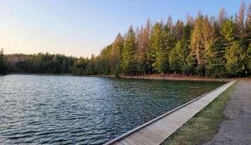  Allan Park Conservation Area. Photo provided by Saugeen Valley Conservation Authority. 