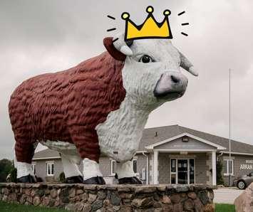 Big Bruce crowned champion in a roadside attraction contest. (Image courtesy of Arran-Elderslie via arran-elderslie.ca.)
