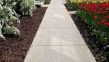 A sidewalk. (Photo by annault/iStock / Getty Images Plus)