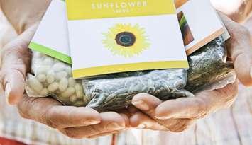 Person holding seed packets (Image from Jupiterimages / Stockbyte / Getty Images)