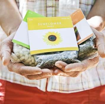 Person holding seed packets (Image from Jupiterimages / Stockbyte / Getty Images)